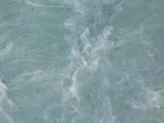 P1010959.jpg
