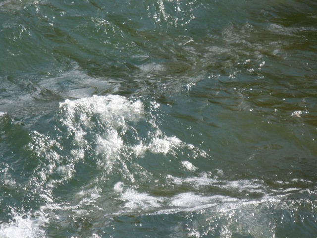 P1010960.jpg
