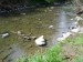 DSC00521.jpg